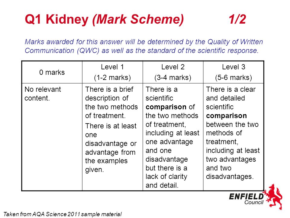 the birthmark essay questions the birthmark essay questions