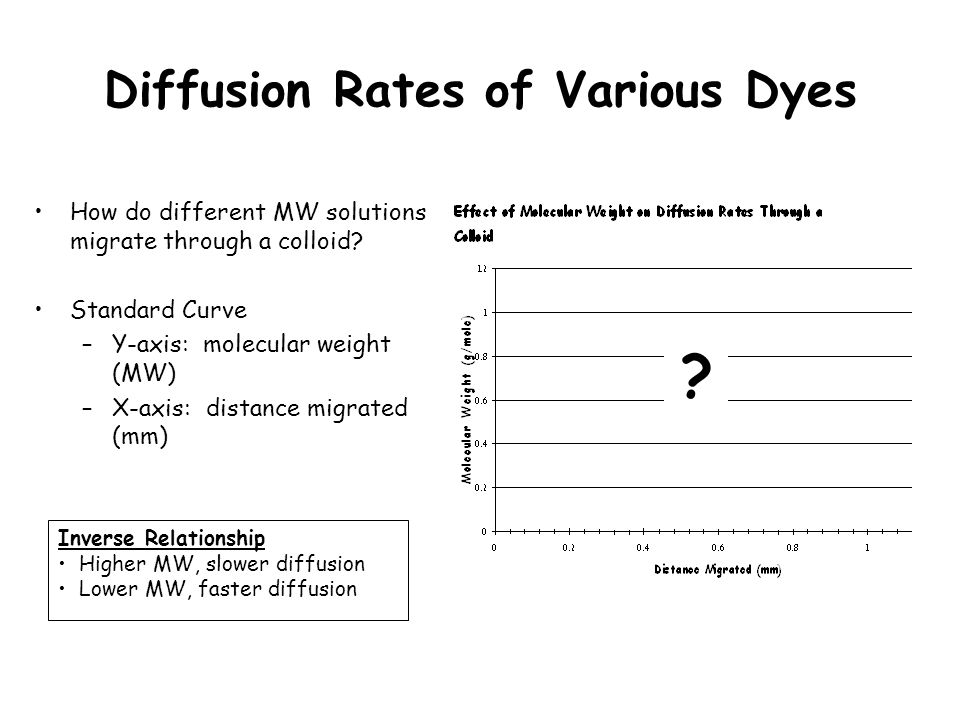 relation between shape and diffusion rate The membrane acts as a barrier to passive diffusion of water the rate of diffusion the permeability of molecules through a cell membrane can be well. relation between shape and diffusion rate The membrane acts as a barrier to passive diffusion of water the rate of diffusion the permeability of molecules through a cell membrane can be well.