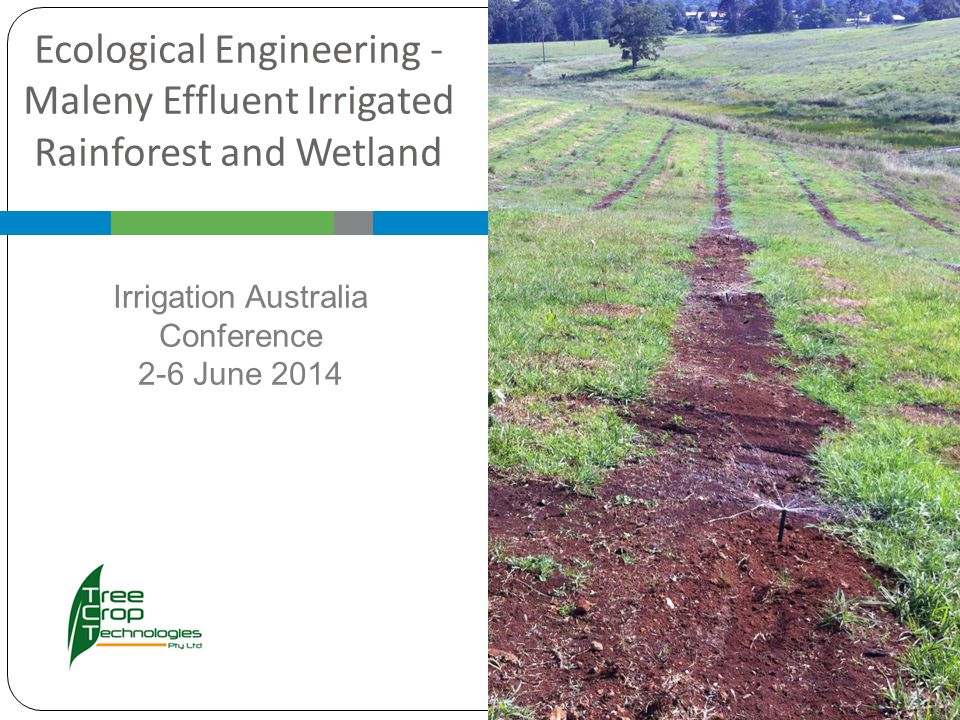 ecological engineering