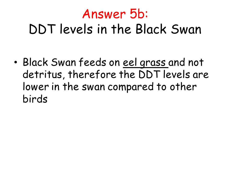 Answer 5b: DDT levels in the Black Swan Black Swan feeds on eel grass and not detritus, therefore the DDT levels are lower in the swan compared to other birds