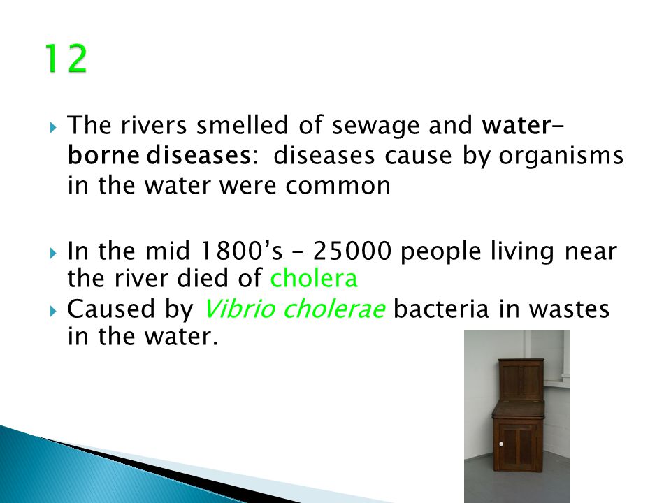  The rivers smelled of sewage and water- borne diseases: diseases cause by organisms in the water were common  In the mid 1800’s – people living near the river died of cholera  Caused by Vibrio cholerae bacteria in wastes in the water.