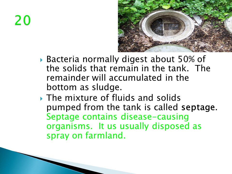  Bacteria normally digest about 50% of the solids that remain in the tank.