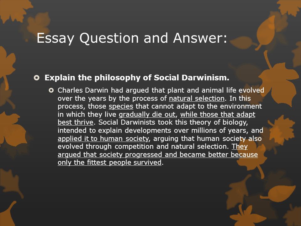 What Is Thesis Statement In Essay Journal Making Connections Revolution And Pages Social Darwinism Essay Paper Essay also Essay Thesis Praxis Core For Dummies With Online Practice Tests Essay About Protein Synthesis Essay