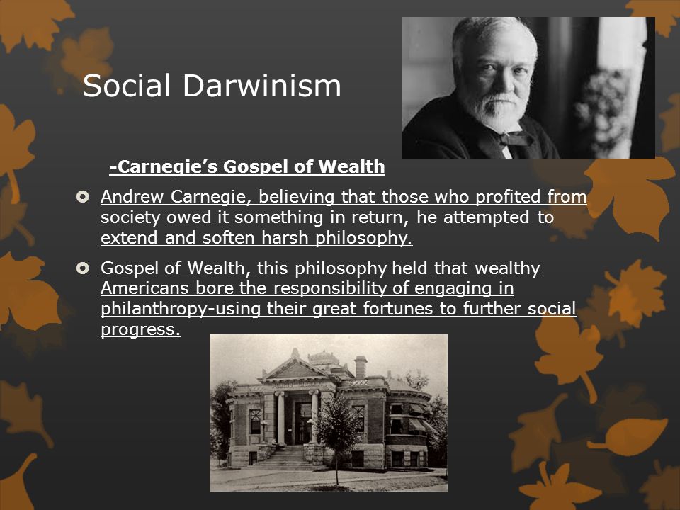 darwinism essays darwinism essays