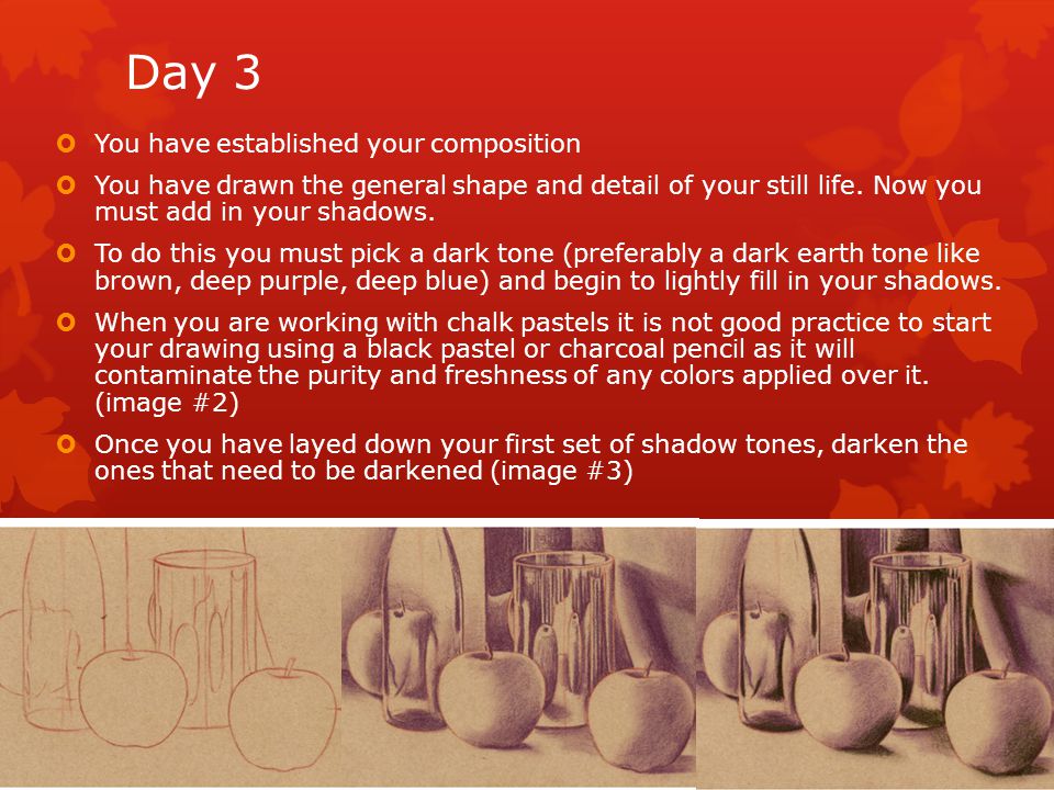 Day 3  You have established your composition  You have drawn the general shape and detail of your still life.