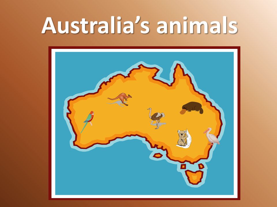 Australia’s animals