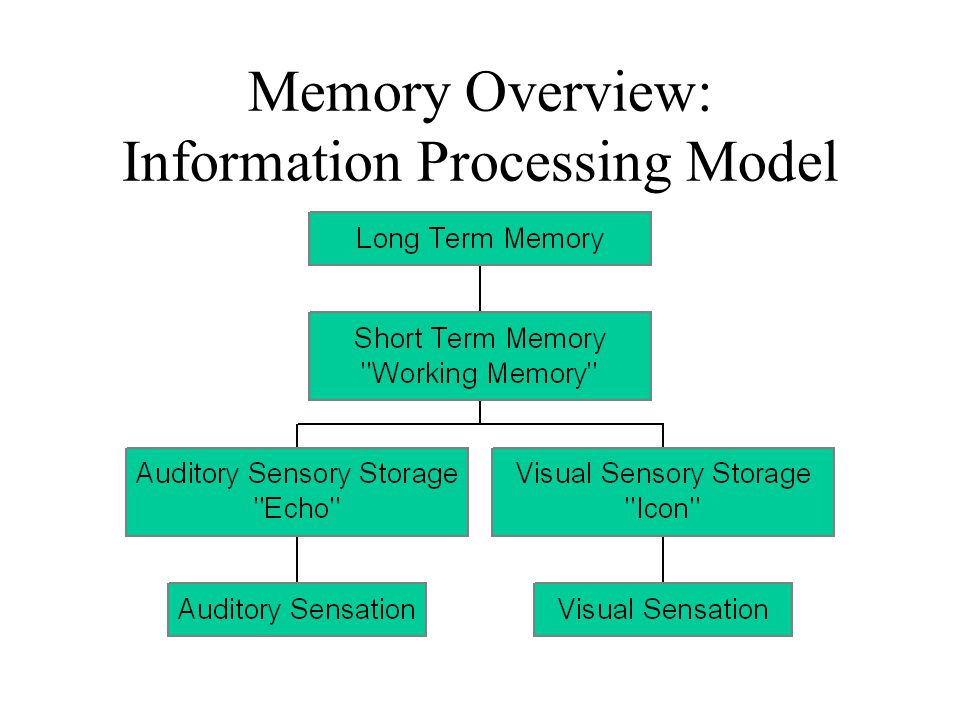 information processing model