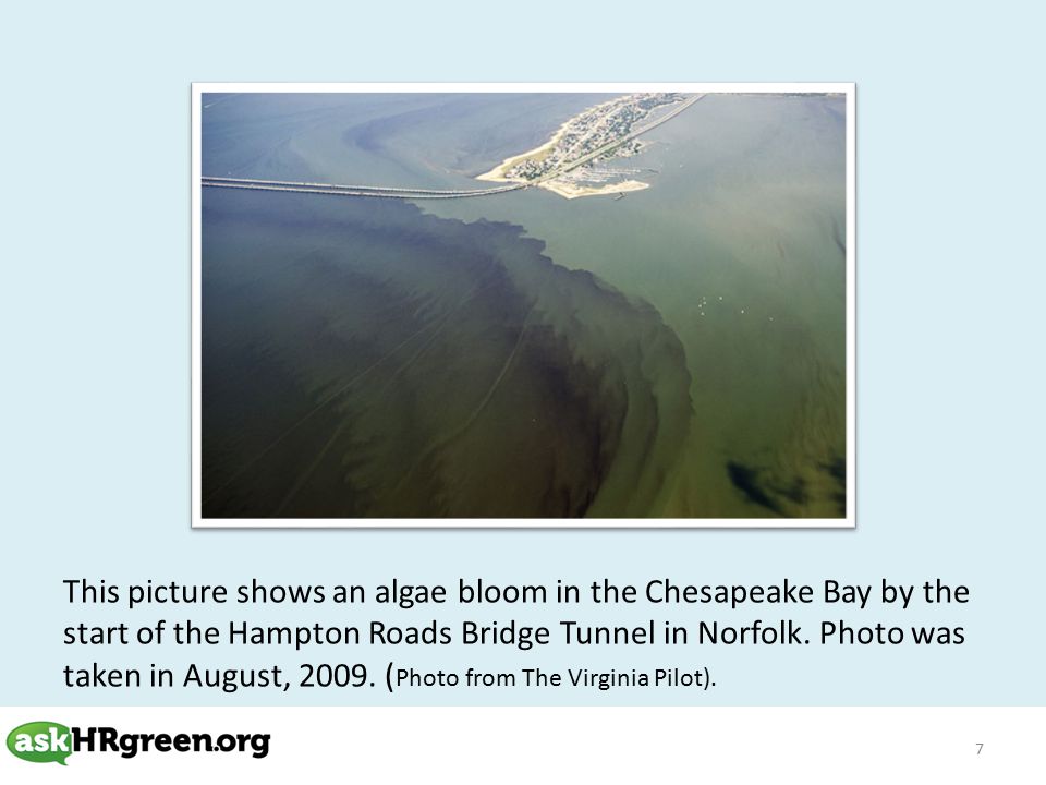 7 This picture shows an algae bloom in the Chesapeake Bay by the start of the Hampton Roads Bridge Tunnel in Norfolk.