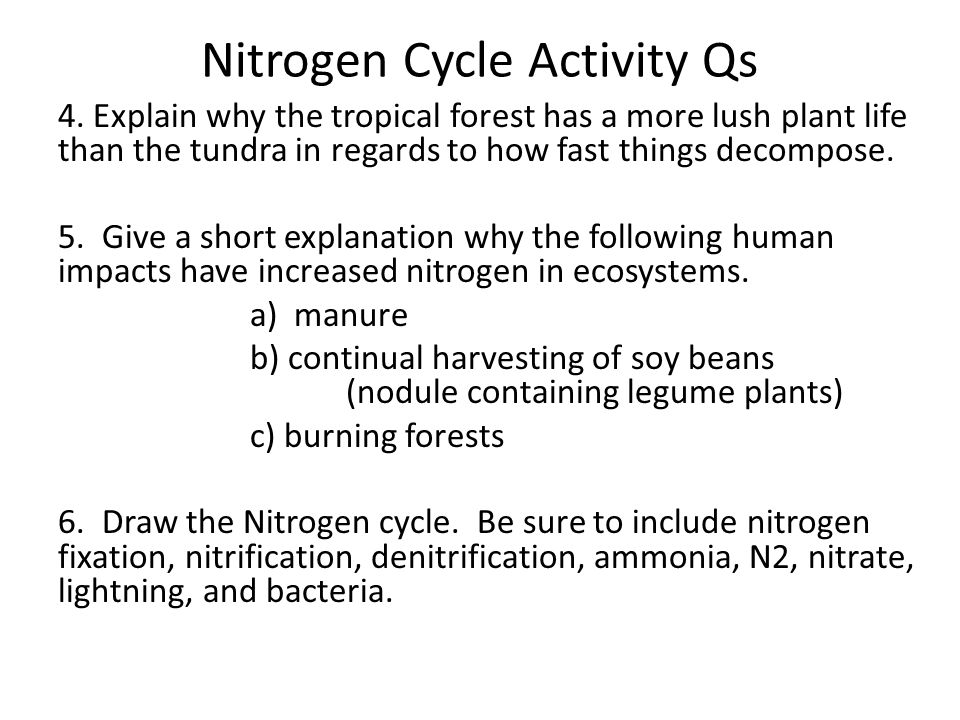 Printables The Nitrogen Cycle Worksheet Answers the nitrogen cycle worksheet 2 answers water carbon and color sheet answers