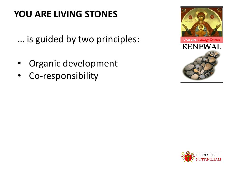 YOU ARE LIVING STONES … is guided by two principles: Organic development Co-responsibility