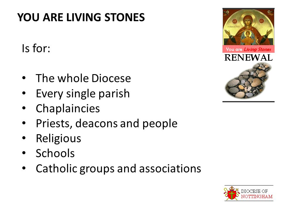 YOU ARE LIVING STONES Is for: The whole Diocese Every single parish Chaplaincies Priests, deacons and people Religious Schools Catholic groups and associations