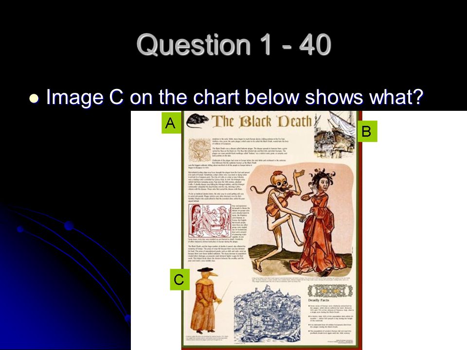 Question Image C on the chart below shows what Image C on the chart below shows what