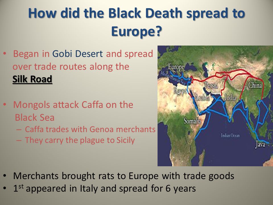 How did the Black Death spread to Europe.