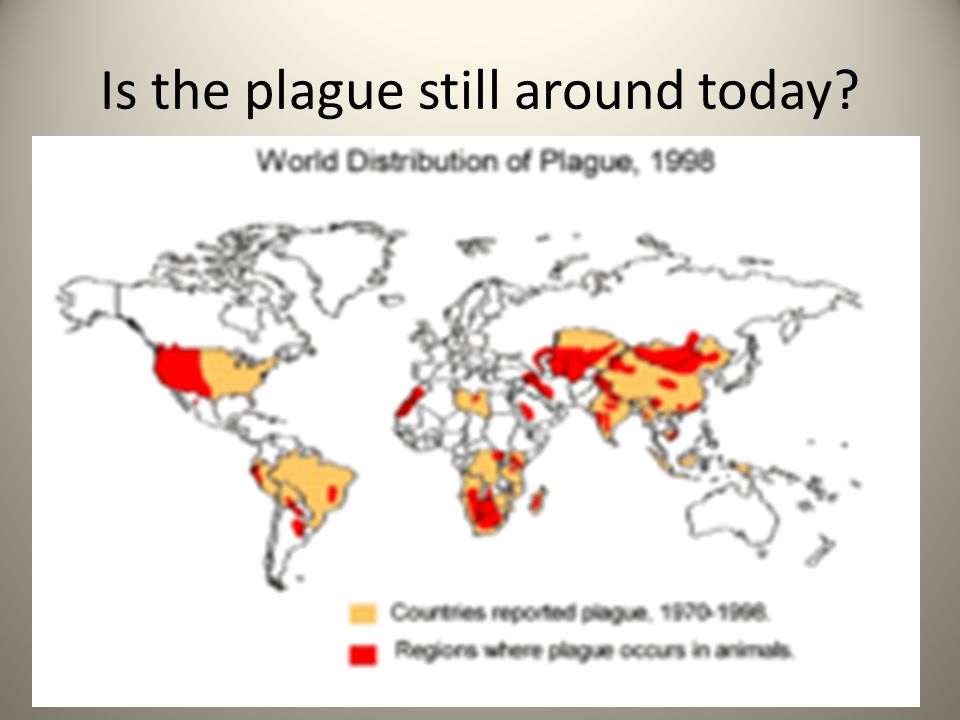 Is the plague still around today