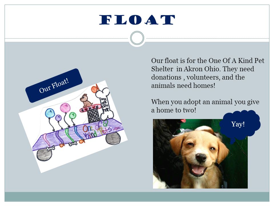 Float Our float is for the One Of A Kind Pet Shelter in Akron Ohio.