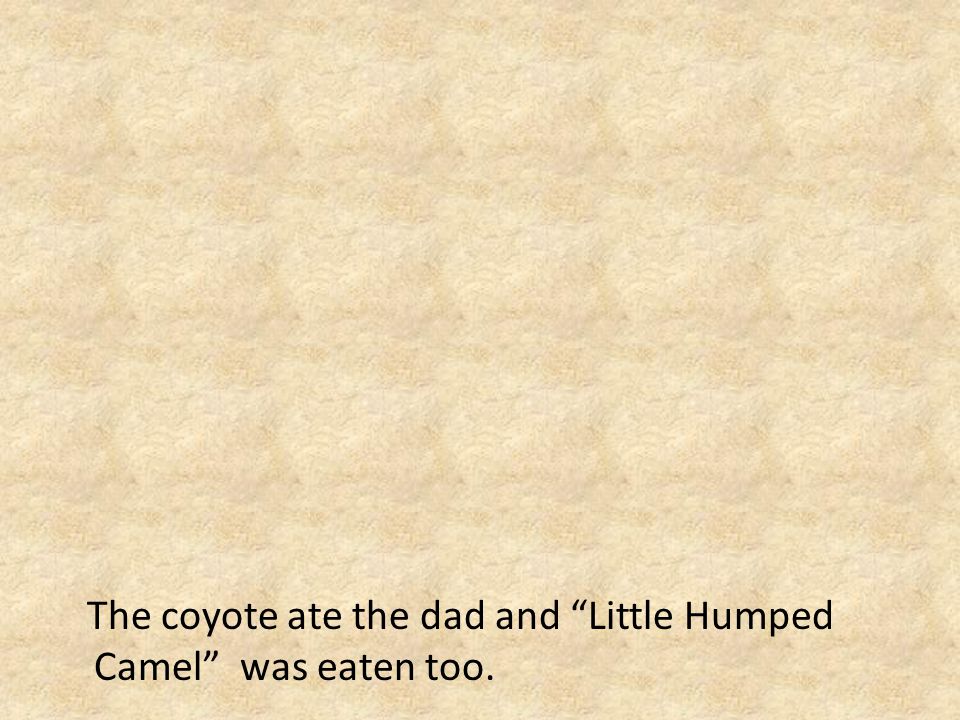 The coyote ate the dad and Little Humped Camel was eaten too.