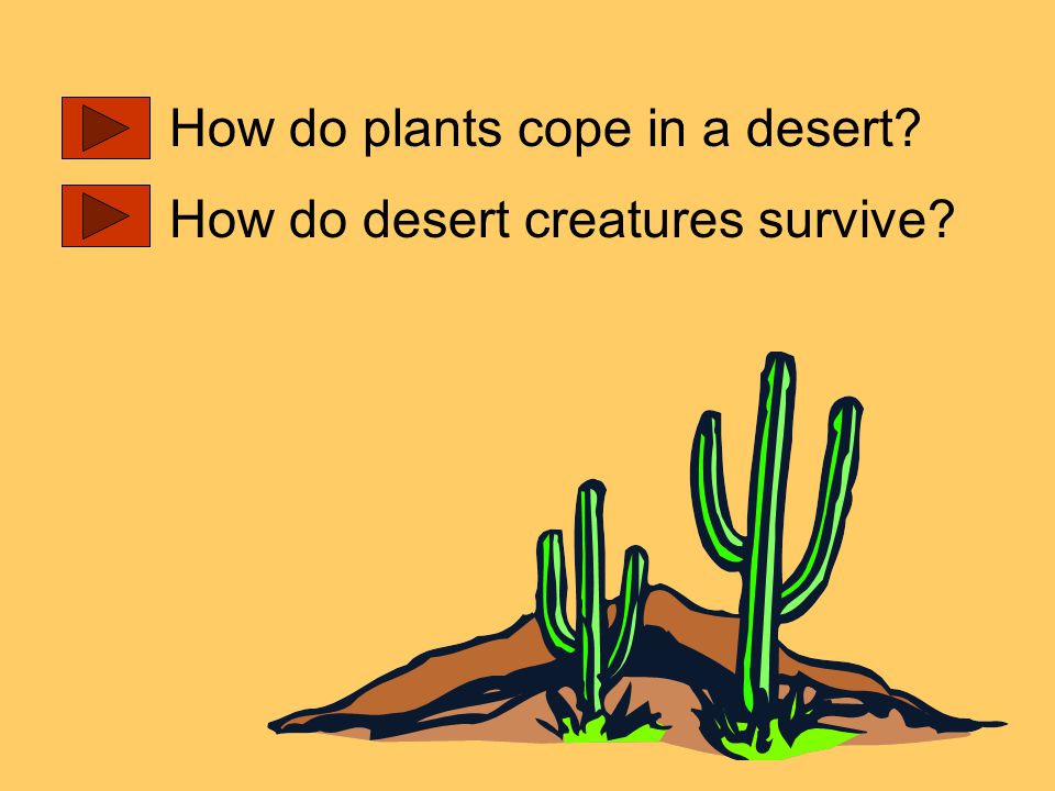 How do plants cope in a desert How do desert creatures survive
