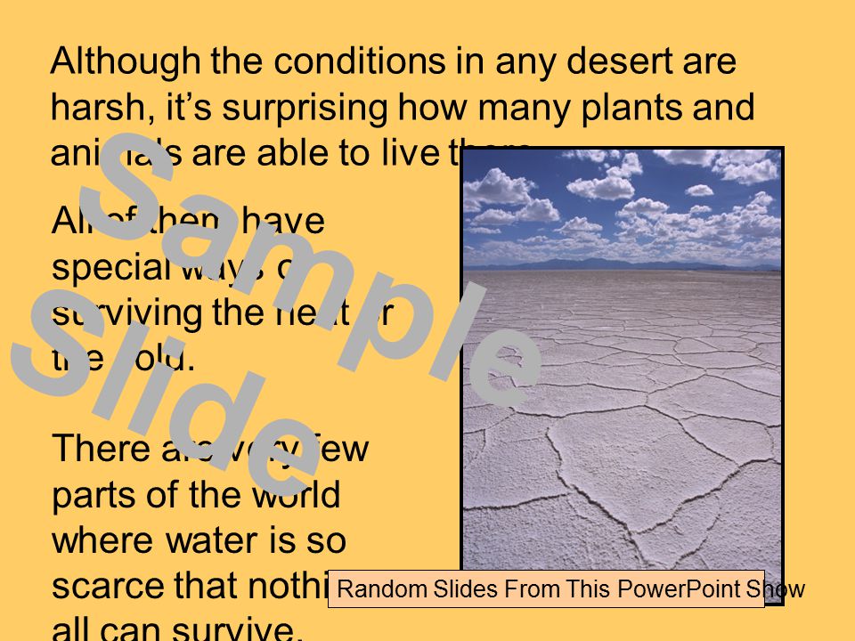 Although the conditions in any desert are harsh, it’s surprising how many plants and animals are able to live there.