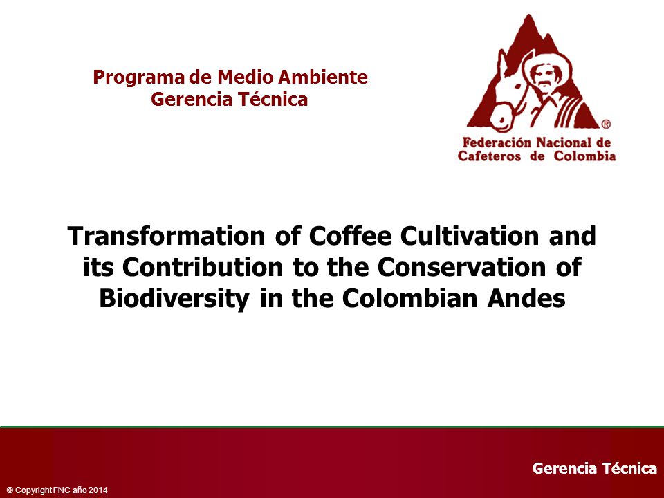 Gerencia Técnica © Copyright FNC año 2014 Programa de Medio Ambiente Gerencia Técnica Transformation of Coffee Cultivation and its Contribution to the Conservation of Biodiversity in the Colombian Andes