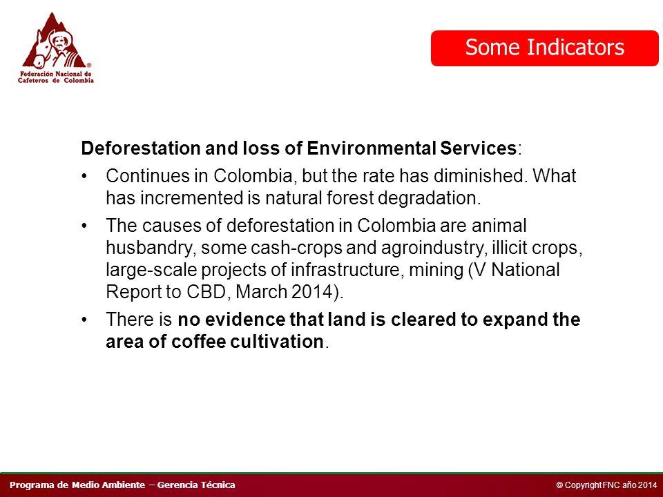 Programa de Medio Ambiente – Gerencia Técnica © Copyright FNC año 2014 Deforestation and loss of Environmental Services: Continues in Colombia, but the rate has diminished.