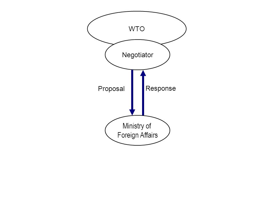 WTO Negotiator Ministry of Foreign Affairs Proposal Response