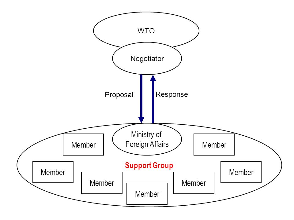Support Group WTO Negotiator Proposal Response Ministry of Foreign Affairs Member