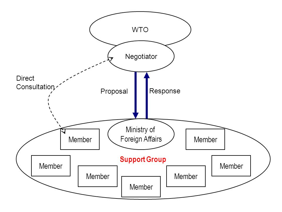 Support Group WTO Negotiator Proposal Response Ministry of Foreign Affairs Member Direct Consultation