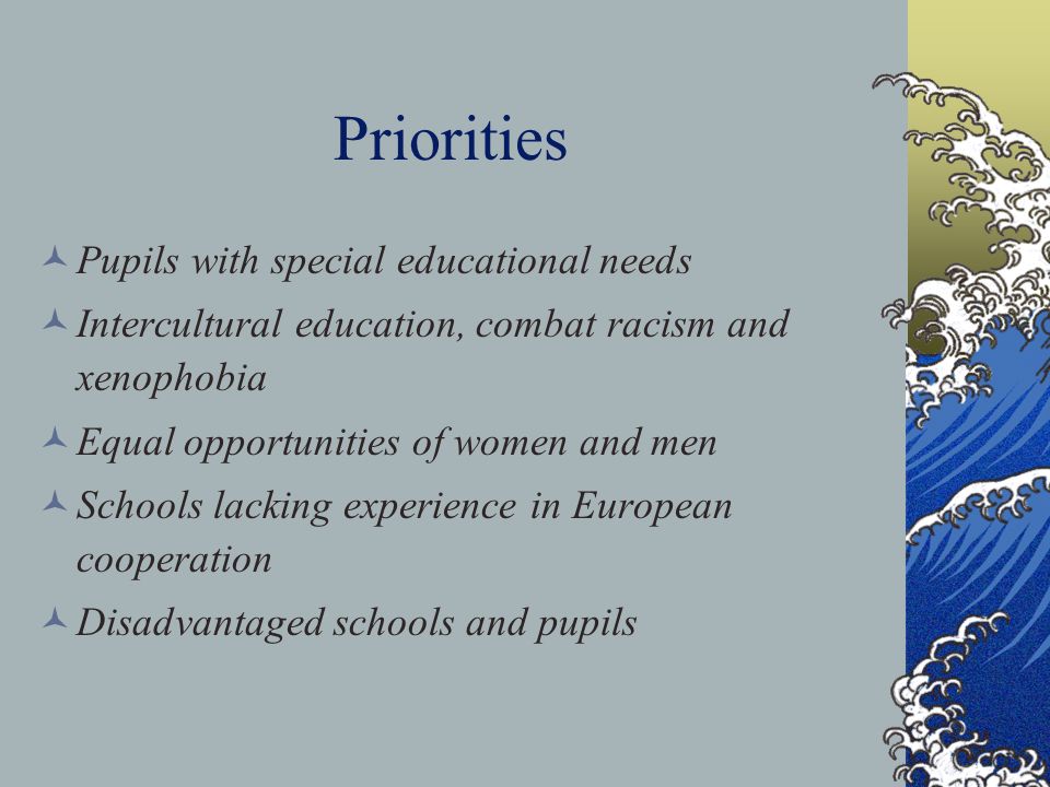 Priorities Pupils with special educational needs Intercultural education, combat racism and xenophobia Equal opportunities of women and men Schools lacking experience in European cooperation Disadvantaged schools and pupils