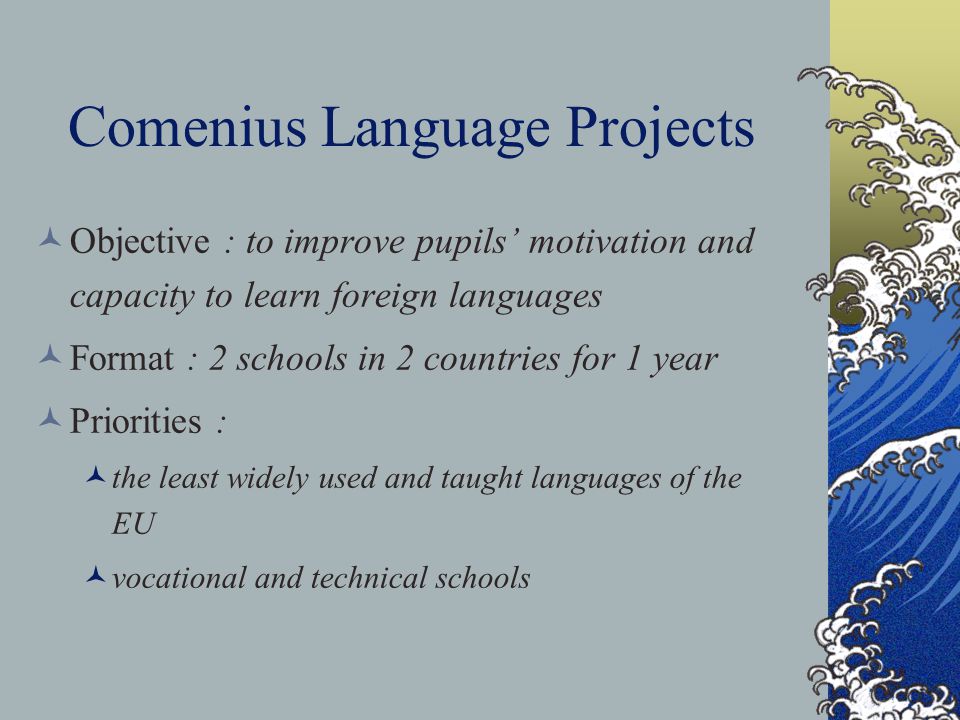 Comenius Language Projects Objective : to improve pupils’ motivation and capacity to learn foreign languages Format : 2 schools in 2 countries for 1 year Priorities : the least widely used and taught languages of the EU vocational and technical schools