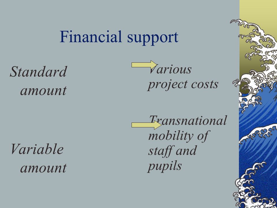 Financial support Standard amount Variable amount Various project costs Transnational mobility of staff and pupils