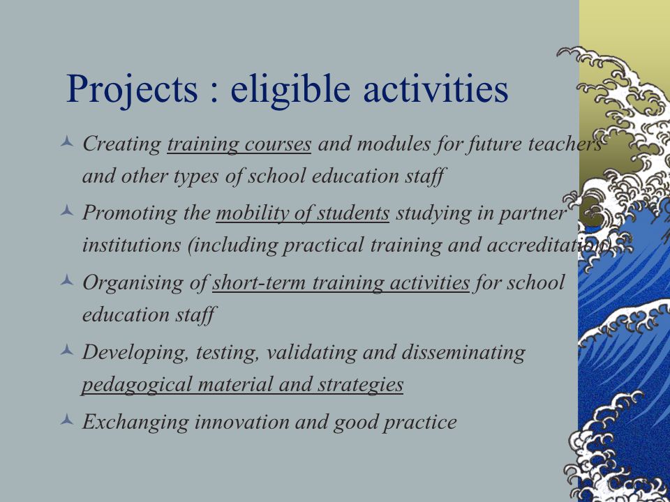 Projects : eligible activities Creating training courses and modules for future teachers and other types of school education staff Promoting the mobility of students studying in partner institutions (including practical training and accreditation) Organising of short-term training activities for school education staff Developing, testing, validating and disseminating pedagogical material and strategies Exchanging innovation and good practice