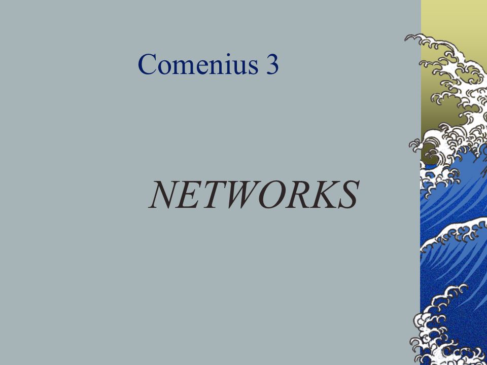 Comenius 3 NETWORKS