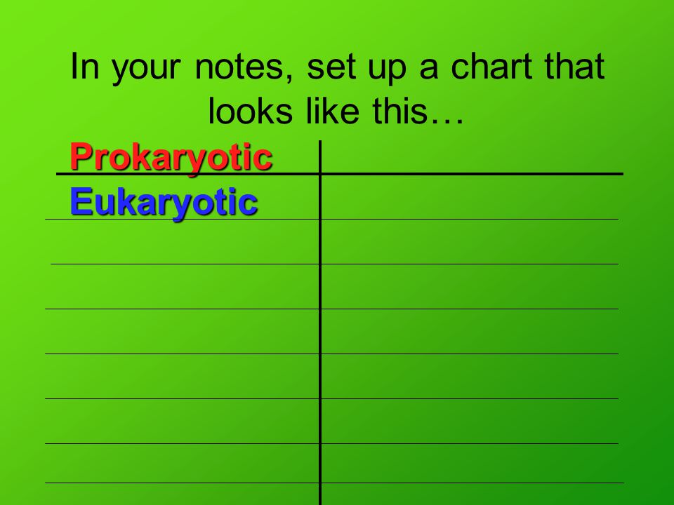 In your notes, set up a chart that looks like this… Prokaryotic Eukaryotic