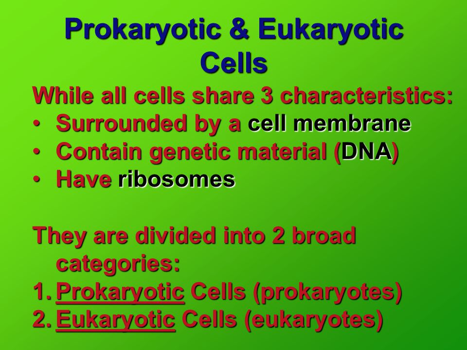 Prokaryotic & Eukaryotic Cells While all cells share 3 characteristics: Surrounded by a cell membraneSurrounded by a cell membrane Contain genetic material (DNA)Contain genetic material (DNA) Have ribosomesHave ribosomes They are divided into 2 broad categories: 1.