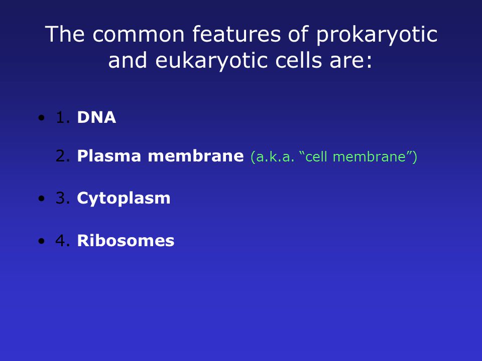 The common features of prokaryotic and eukaryotic cells are: 1.