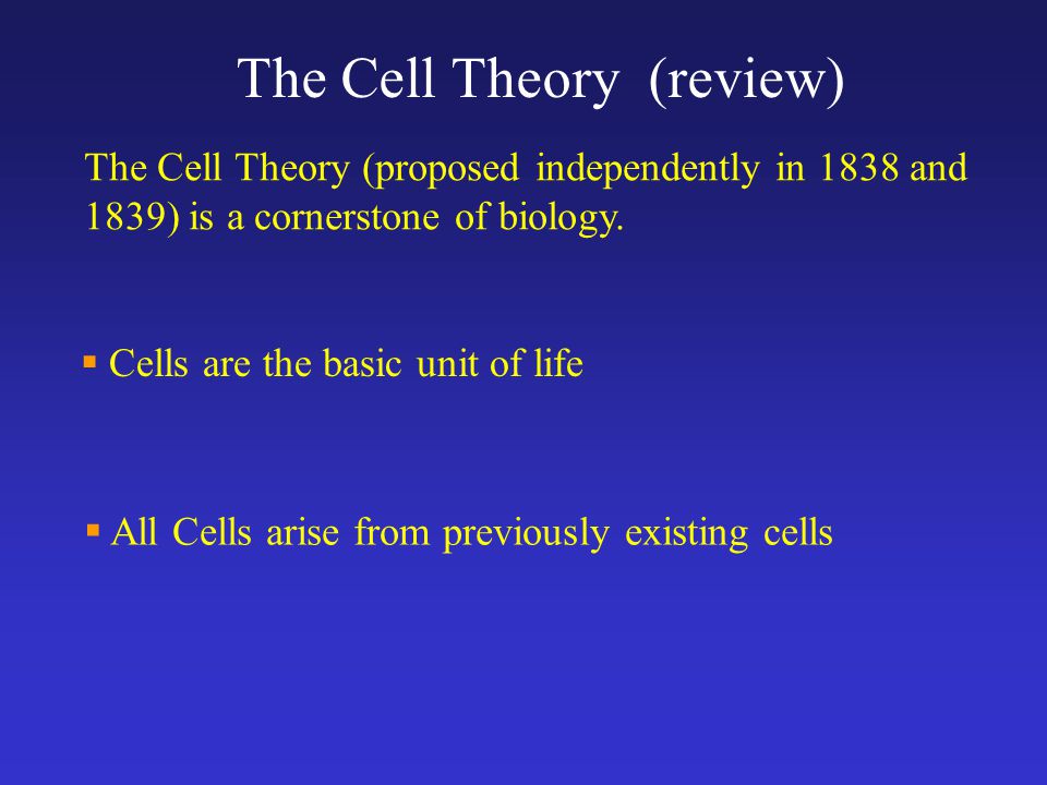 The Cell Theory (review)  Cells are the basic unit of life  All Cells arise from previously existing cells The Cell Theory (proposed independently in 1838 and 1839) is a cornerstone of biology.