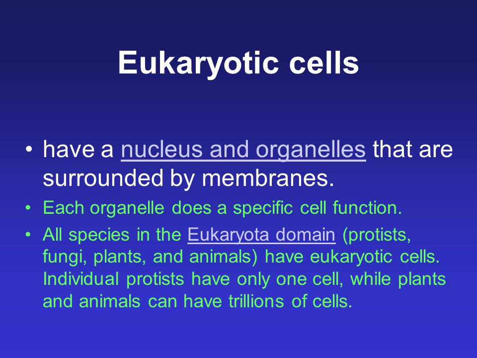 Eukaryotic cells have a nucleus and organelles that are surrounded by membranes.nucleus and organelles Each organelle does a specific cell function.