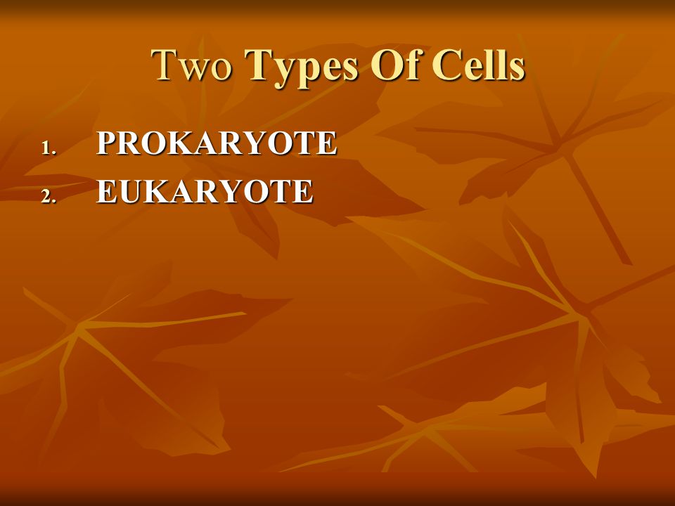 Two Types Of Cells 1. PROKARYOTE 2. EUKARYOTE