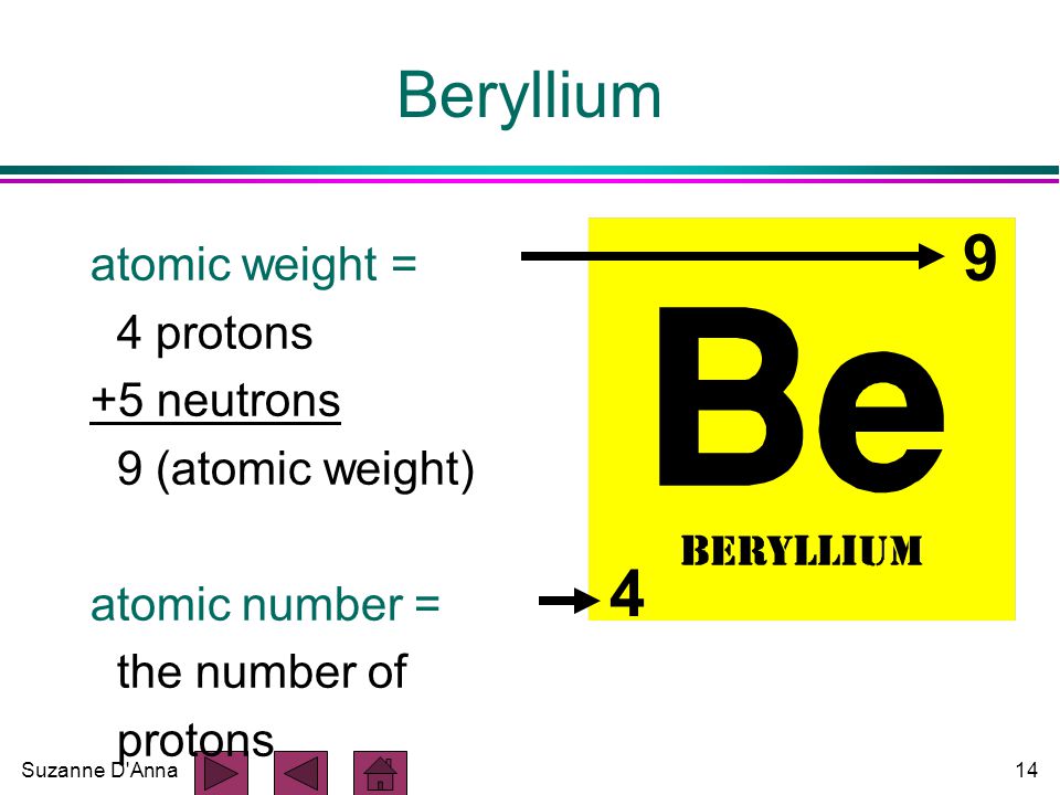 Suzanne D Anna14 Beryllium atomic weight = 4 protons +5 neutrons 9 (atomic weight) atomic number = the number of protons 4 9