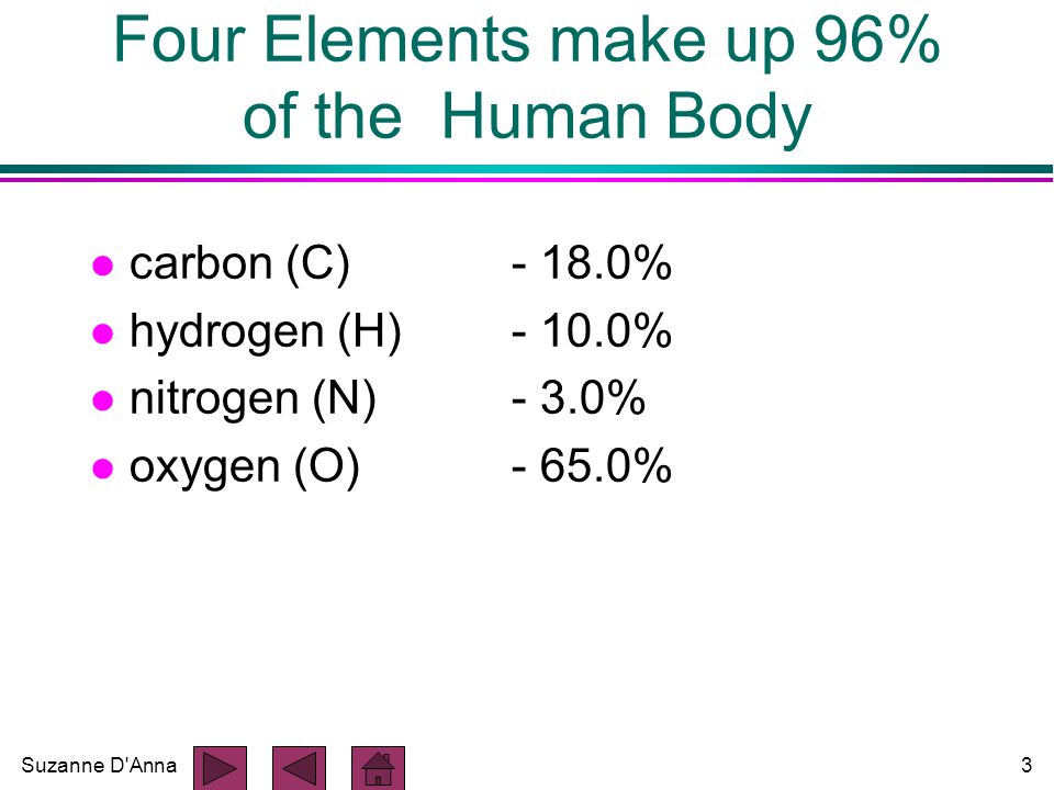 Suzanne D Anna3 Four Elements make up 96% of the Human Body l carbon (C) % l hydrogen (H) % l nitrogen (N) - 3.0% l oxygen (O) %