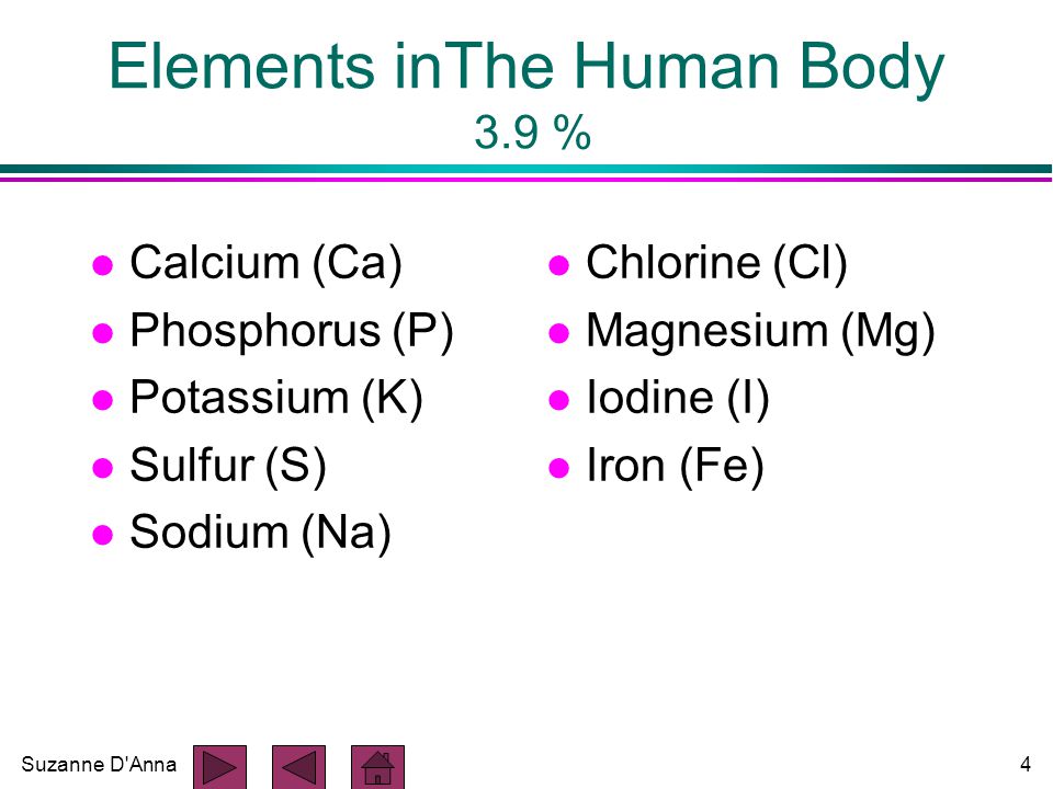 Suzanne D Anna4 Elements inThe Human Body 3.9 % l Calcium (Ca) l Phosphorus (P) l Potassium (K) l Sulfur (S) l Sodium (Na) l Chlorine (Cl) l Magnesium (Mg) l Iodine (I) l Iron (Fe)