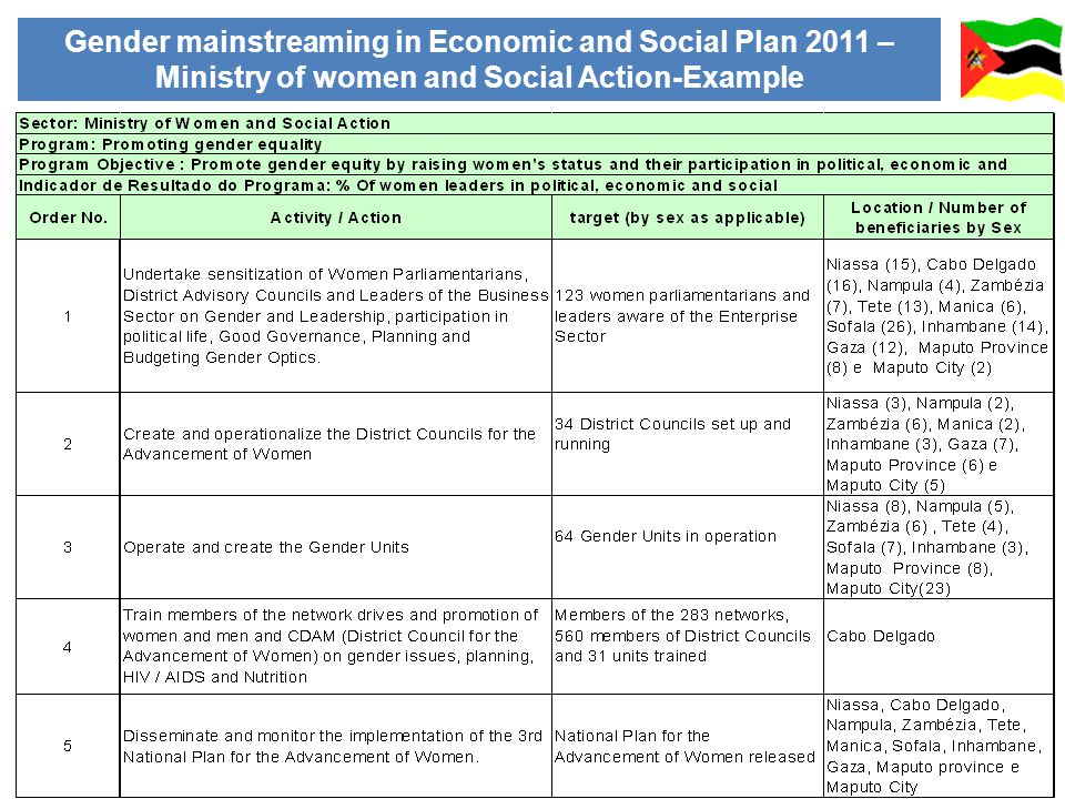 Gender mainstreaming in Economic and Social Plan 2011 – Ministry of women and Social Action-Example