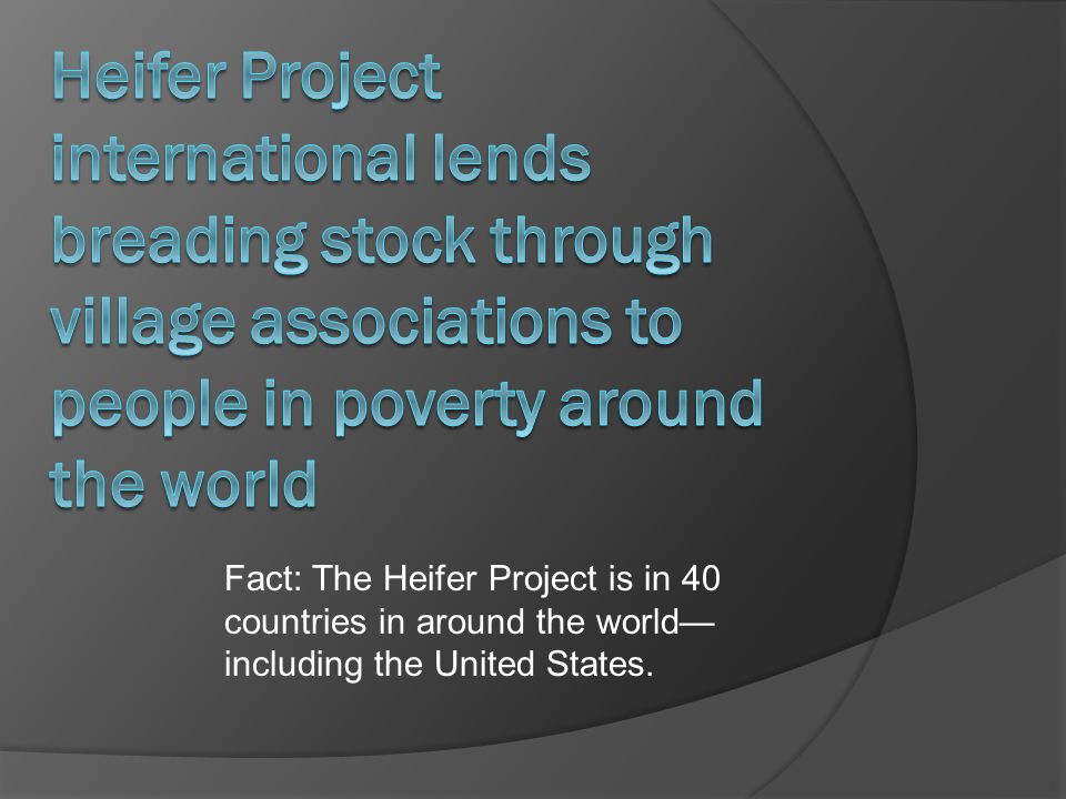 Fact: The Heifer Project is in 40 countries in around the world— including the United States.