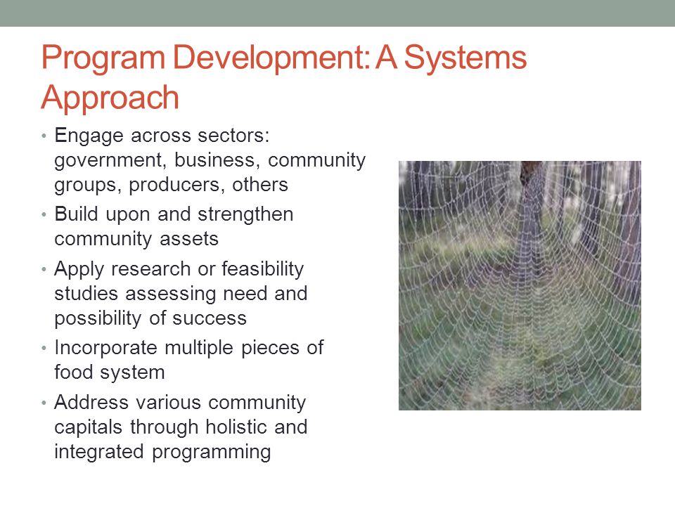 Program Development: A Systems Approach Engage across sectors: government, business, community groups, producers, others Build upon and strengthen community assets Apply research or feasibility studies assessing need and possibility of success Incorporate multiple pieces of food system Address various community capitals through holistic and integrated programming