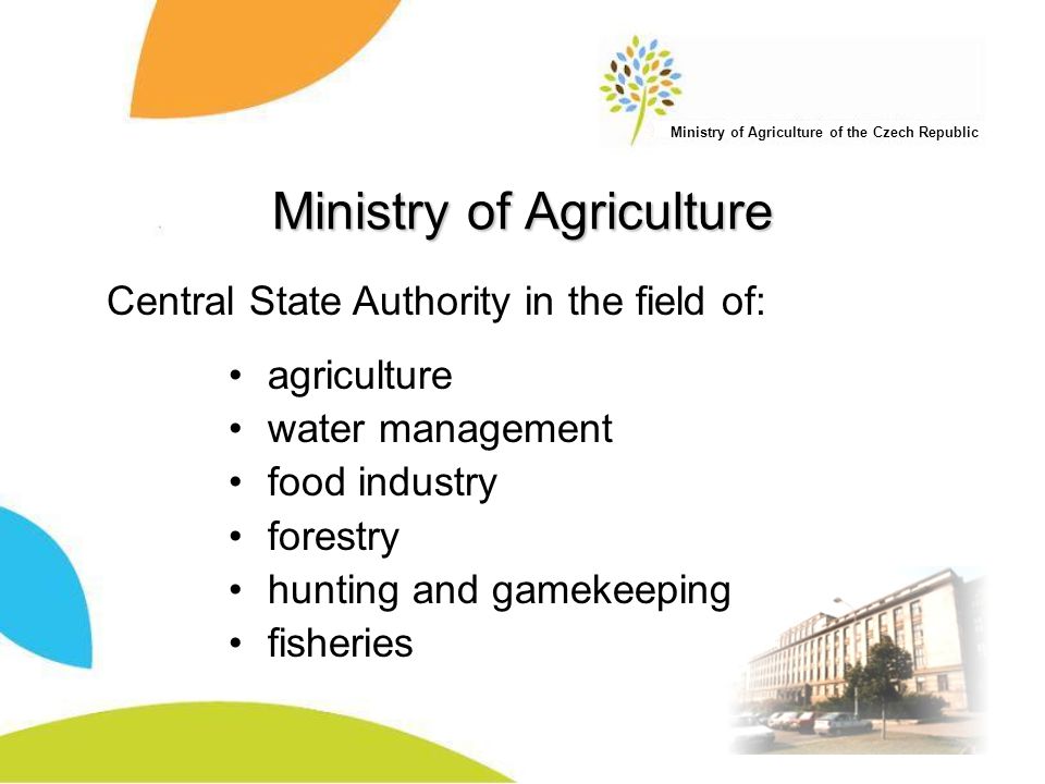 Ministry of Agriculture agriculture water management food industry forestry hunting and gamekeeping fisheries Central State Authority in the field of: