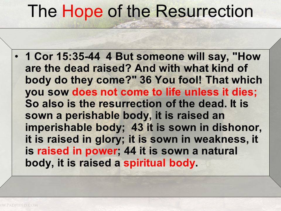 The Hope of the Resurrection 1 Cor 15: But someone will say, How are the dead raised.