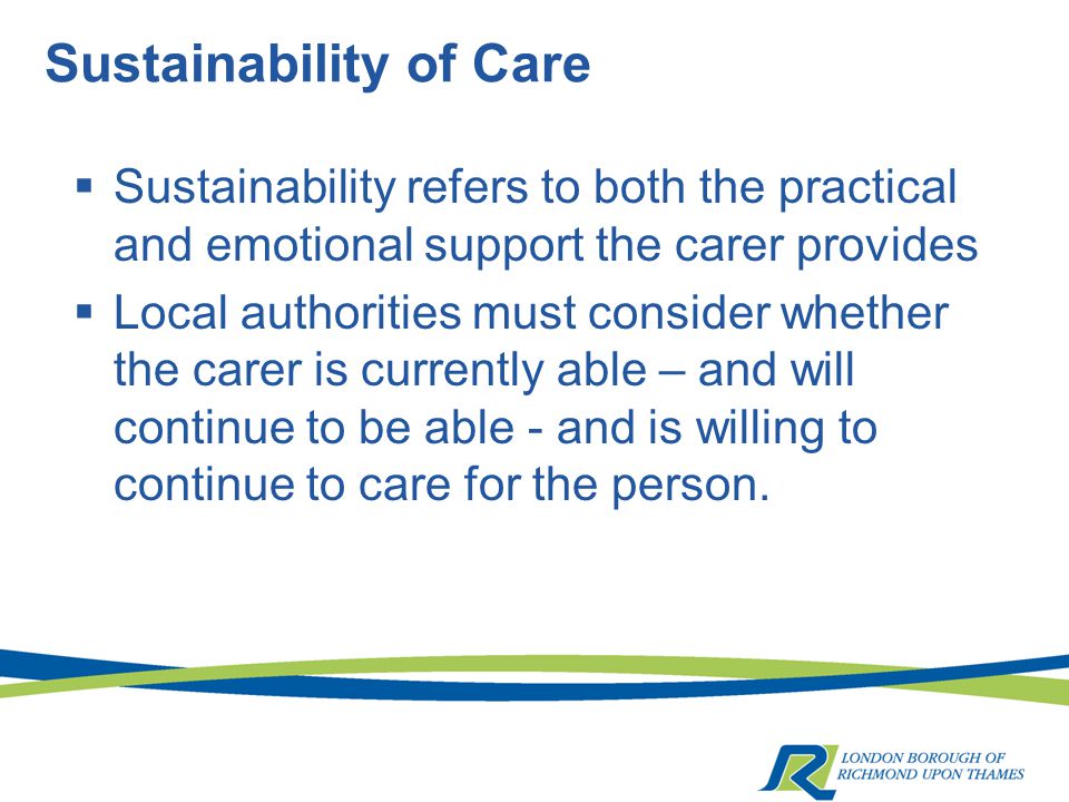 Sustainability of Care  Sustainability refers to both the practical and emotional support the carer provides  Local authorities must consider whether the carer is currently able – and will continue to be able - and is willing to continue to care for the person.