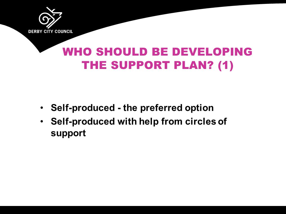WHO SHOULD BE DEVELOPING THE SUPPORT PLAN.