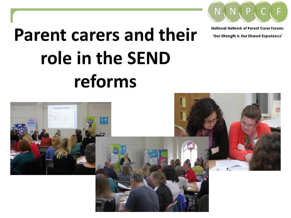 Parent carers and their role in the SEND reforms