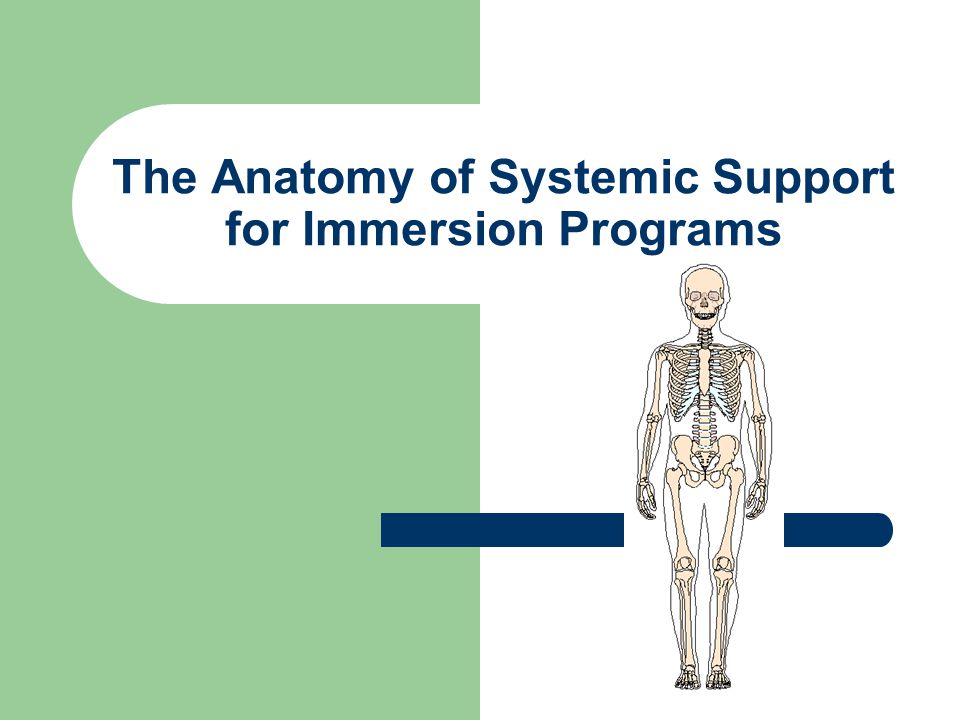 The Anatomy of Systemic Support for Immersion Programs